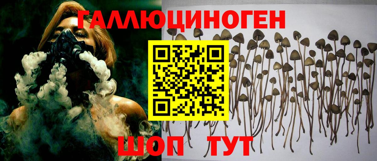 Галлюциногенные грибы мицелий  Вход с VPN  Крымск  Галлюциногенные грибы Magic Shrooms 